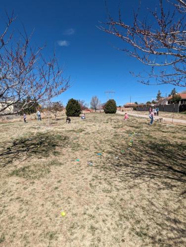 PXL 20240330 182330091