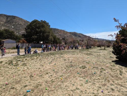 PXL 20240330 185901600