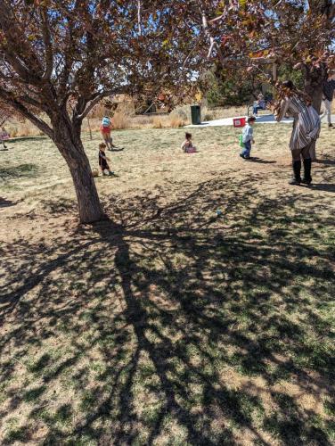 PXL 20240330 190339384