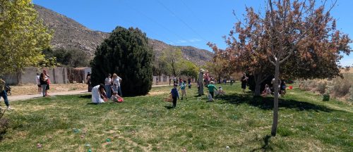 025eba28-d7e2-4083-998b-db66e2c75740